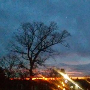 Meet your Posher, Arden